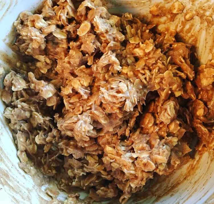 Oatmeal bites mixture in mixing bowl.