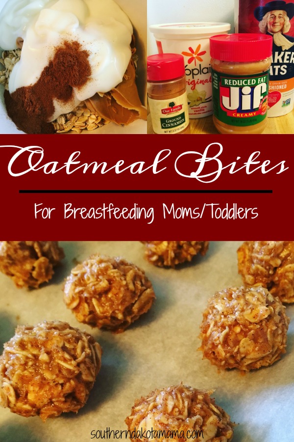 Pinterest graphic with text for Oatmeal Bites for Breastfeeding Moms/Toddlers and collage of ingredients.